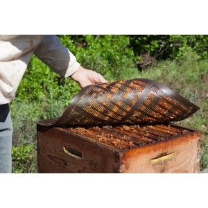 Teinture mère de propolis