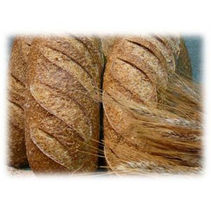 Pain de petit epeautre bio 