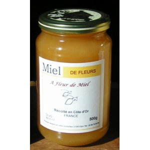 Miel de fleurs 500g