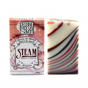 2 Savons Steam - Surgras 7% - AloeVera et Huile d'Argan