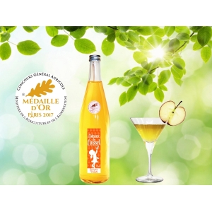 Jus de pomme coteaux de cassel 75cl