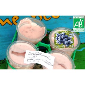 * 4 x yaourts bio aux myrtilles et au lait entier