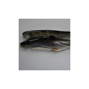 Truite vidées sous vide x 2 (800g)