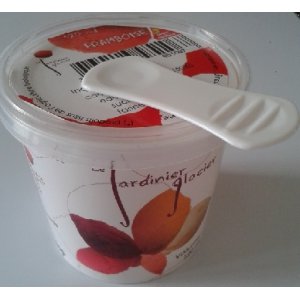 Glace chocolat lot de 2 pots 120ml