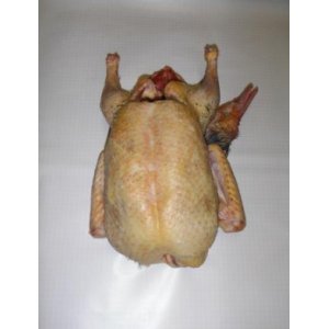 Canard entier plein air 1.7kg