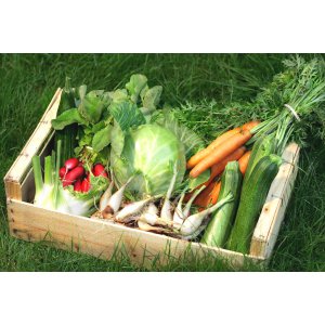 * panier légumes de saison 10 euros