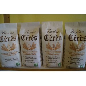 Farine de blé t55 1 kg