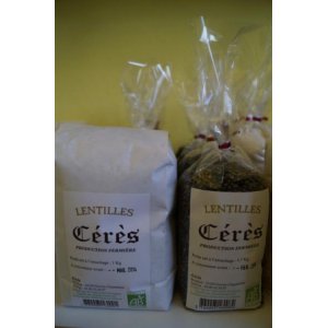 Lentilles vertes 0.5kg
