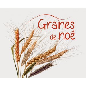 Farine de blé t80 1 kg  variétés anciennes