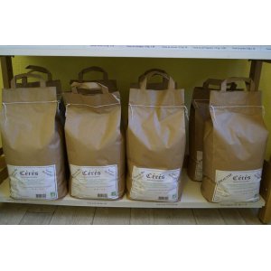 Farine de grand épeautre t65 5 kg