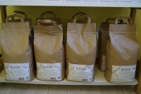 Farine de seigle 5 kg