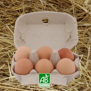 Oeufs bio