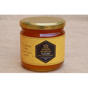 Miel fleurs (500g)