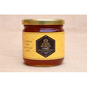 Miel de forêt (500g)