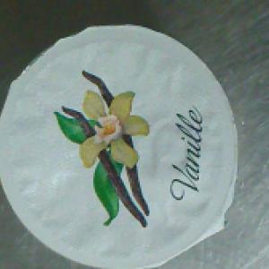 Yaourt bio vanille 4*125g