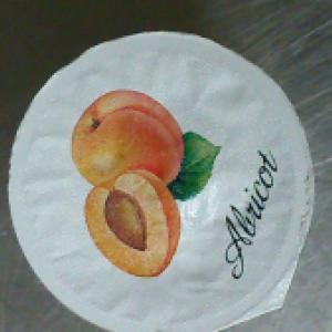 Yaourt  brassé abricot bio 4*125g