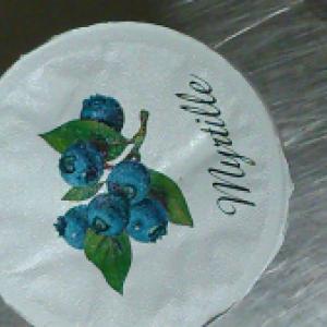 Yaourt  brassé myrtille bio 4*125g