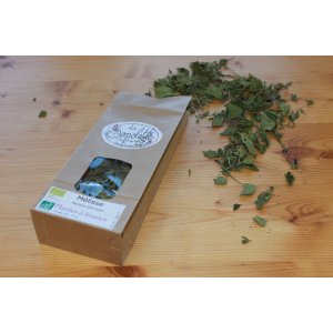 Infusion de mélisse