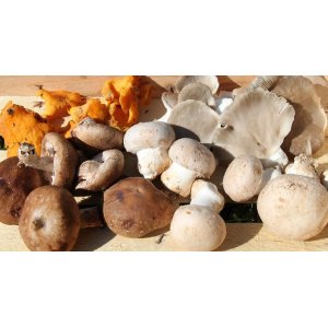 Poêlée gourmande pour 4 personnes