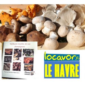 Poêlée gourmande + livre de recett