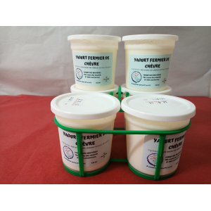 4 yaourts de chèvre nature
