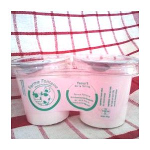 2 x  yaourts aux fruits exotique brassé