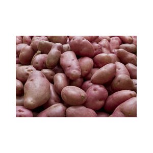 Pomme de terre désirée