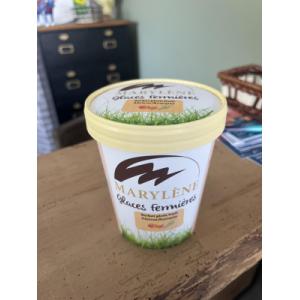 Sorbet abricot romarin 500ml