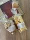 Coffret 'le coquin gourmand' - image 3