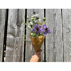 Fleurs botte - nigelle