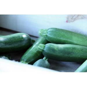 Courgette