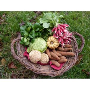 Petit panier de légumes