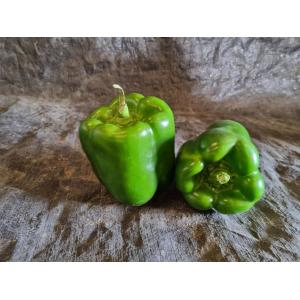 Poivron