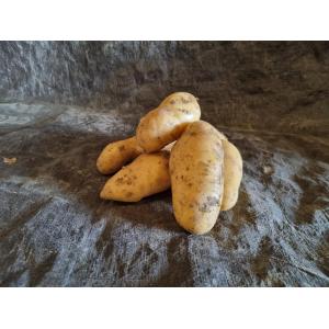 Pomme de terre amandine