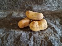 Pomme de terre louisiana