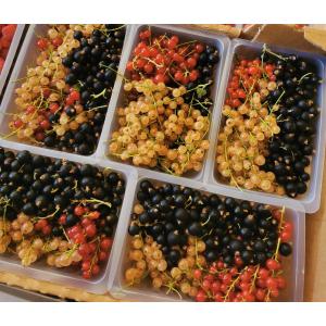 Groseilles et cassis