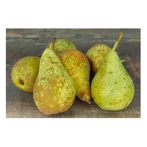 Poire variete comice