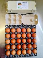 Oeufs bio par 6 ou 12