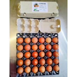 Oeufs bio par 6 ou 12