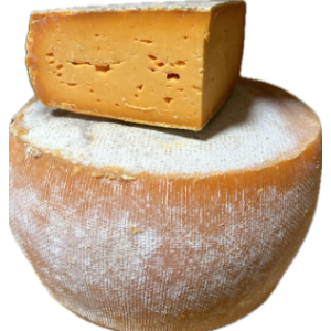 Gouda - chouchou au cumin
