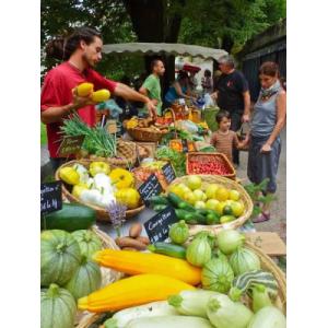 Panier de légumes 4-5 personnes