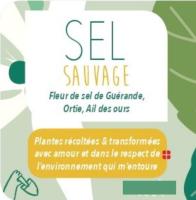 Sel sauvage