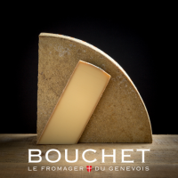 Comté bande marron - lait cru