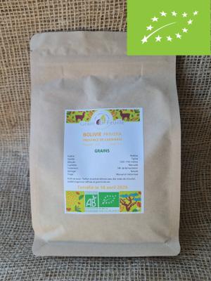 Café grains, bolivie primera