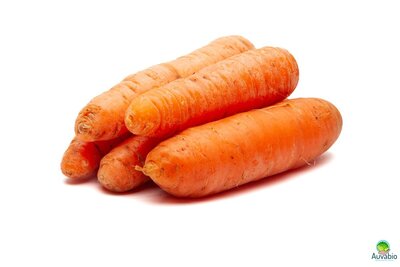 Carottes lavées