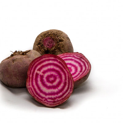 Betterave chioggia