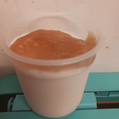 Panacotta à la confiture de figue
