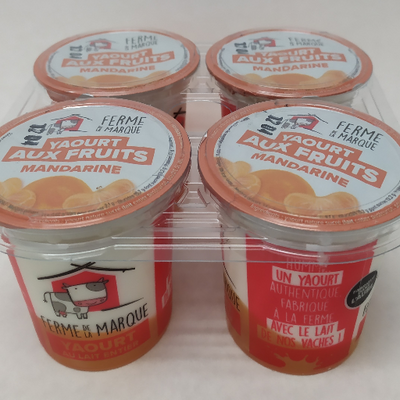 Yaourt brassé sur lit de fruits x 4 mandarine