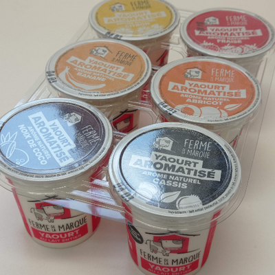 Assortiment yaourts aromatisés x 6
