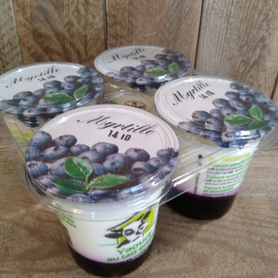 Yaourt brassé sur lit de fruits x 4 myrtille